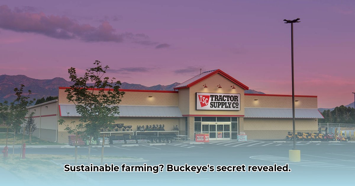 tractor-supply-buckeye-az